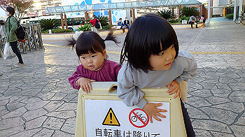 20201114_074051000_ios_thumb.jpg