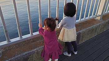 20201114_075255000_ios_thumb.jpg
