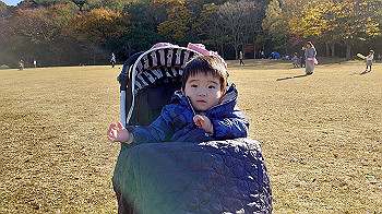 20201122_045129000_ios_thumb.jpg