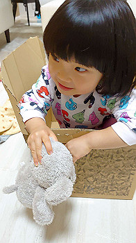 20201124_095300000_ios_thumb.jpg