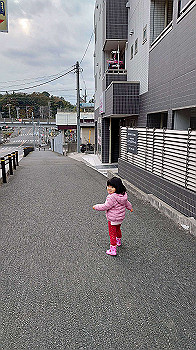 20201129_051655000_ios_thumb.jpg
