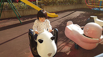 20201211_010636000_ios_thumb.jpg