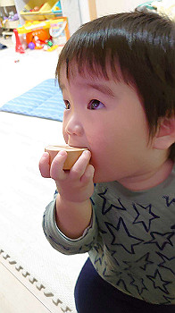 20201211_061257000_ios_thumb.jpg