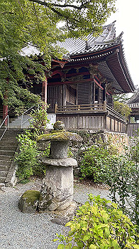 20200916_061615814_ios_thumb.jpg
