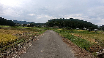 gx010884_x264.mp4_snapshot_06.13_thumb.jpg