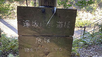 20200921_060245872_ios_thumb.jpg