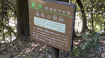 20200921_060522524_ios_thumb.jpg