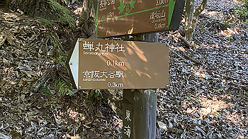 20200921_060535470_ios_thumb.jpg