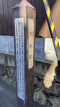 20200921_062050333_ios_thumb.jpg