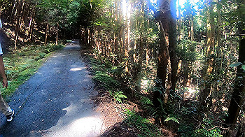 gh010943.mp4_snapshot_00.00_thumb.jpg