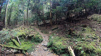 gh010948.mp4_snapshot_00.00_thumb.jpg