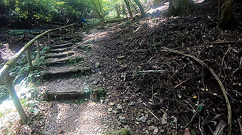 gh010950.mp4_snapshot_00.00_thumb.jpg
