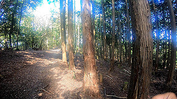 gh010961.mp4_snapshot_00.00_thumb.jpg