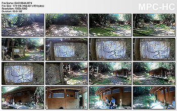 gx010944.mp4_thumbsaa_00.00_thumb.jpg