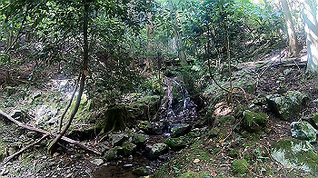 gx010947.mp4_snapshot_00.00_thumb.jpg