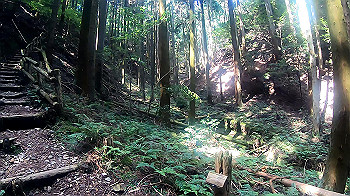 gx010949.mp4_snapshot_00.00_thumb.jpg