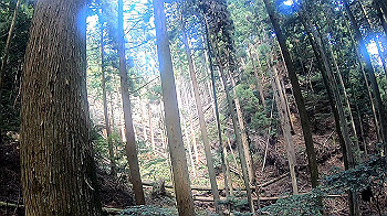 gx010949.mp4_snapshot_02.21_thumb.jpg