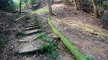 gx010949.mp4_snapshot_02.43_thumb.jpg