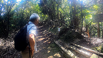 gx010951.mp4_snapshot_00.00_thumb.jpg