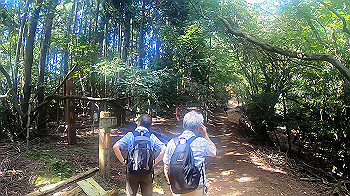 gx010952.mp4_snapshot_00.00_thumb.jpg