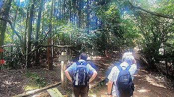 gx010952.mp4_snapshot_00.01_thumb.jpg