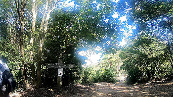 gx010954.mp4_snapshot_00.00_thumb.jpg