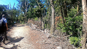 gx010955.mp4_snapshot_00.00_thumb.jpg