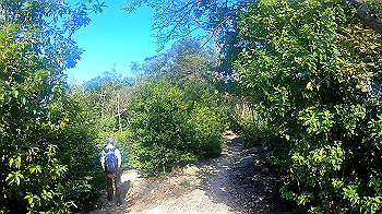 gx010959.mp4_snapshot_01.06_thumb.jpg
