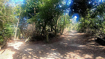 gx010959.mp4_snapshot_01.52_thumb.jpg