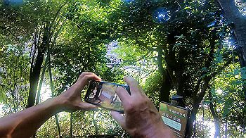 gx010962.mp4_snapshot_03.15_thumb.jpg