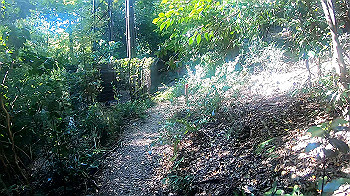 gx010962.mp4_snapshot_04.34_thumb.jpg