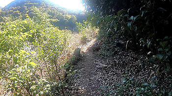 gx010962.mp4_snapshot_06.06_thumb.jpg