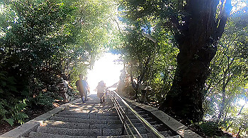 gx010963.mp4_snapshot_00.27_thumb.jpg