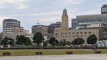 20201002_081949428_ios_thumb.jpg