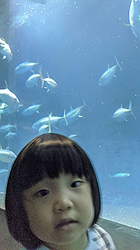 20201005_014711000_ios_thumb.jpg