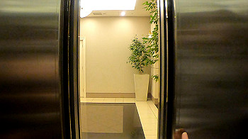 gx010986.mp4_snapshot_00.00_thumb.jpg