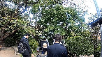 gx010998.mp4_snapshot_00.00_thumb.jpg