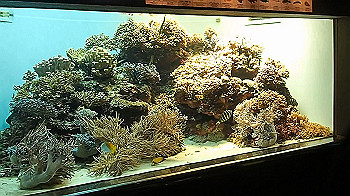 pa050111_x264.mp4_snapshot_00.00_thumb.jpg