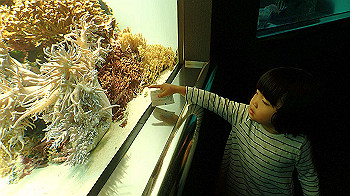 pa050113_thumb.jpg