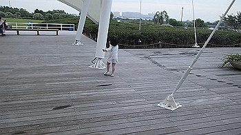 pa050161_x264.mp4_snapshot_00.00_thumb.jpg