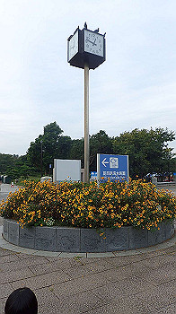 pa050178_thumb.jpg