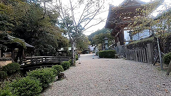 gx011024_x264.mp4_snapshot_03.45_thumb.jpg