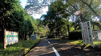 gx011029_x264.mp4_snapshot_01.38_thumb.jpg