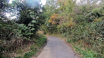 gx011039_x264.mp4_snapshot_07.04_thumb.jpg