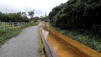 gx011044.mp4_snapshot_00.01_thumb.jpg