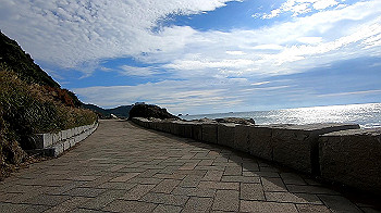 gx011048.mp4_snapshot_07.46_thumb.jpg