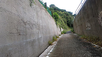 gx011049.mp4_snapshot_07.15_thumb.jpg
