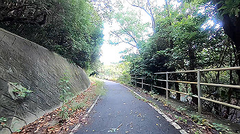 gx011049.mp4_snapshot_08.12_thumb.jpg