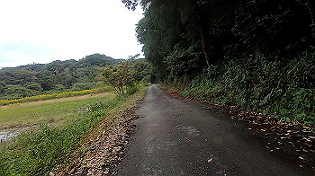 gx011065.mp4_snapshot_02.56_thumb.jpg