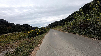 gx011065.mp4_snapshot_04.05_thumb.jpg